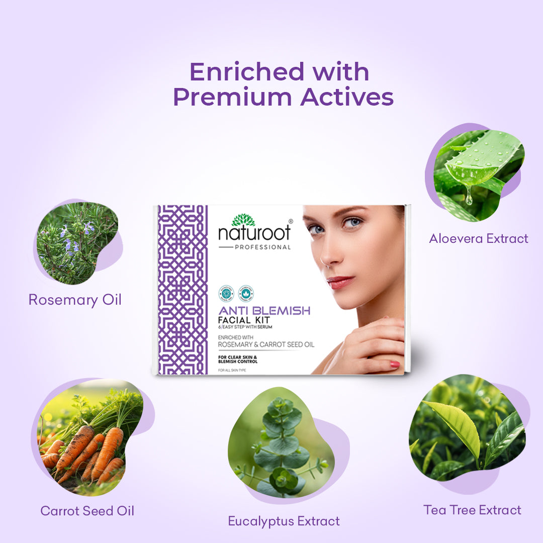 Naturoot Anti Blemish Facial Kit